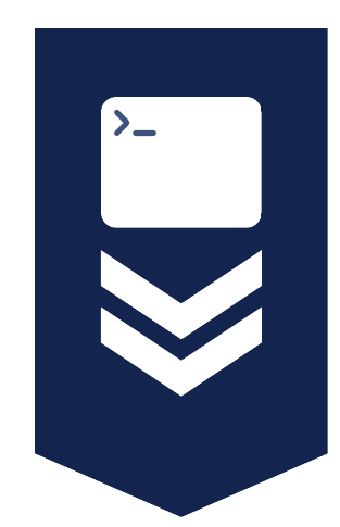 Sentinel badge